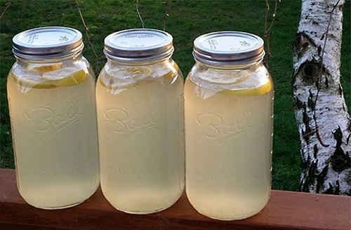 Старинный рецепт кваса из березового сока. Квас из березового сока в домашних условиях — вкусные рецепты