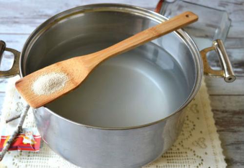 Березовый квас на пиве. Квас из березового сока в домашних условиях