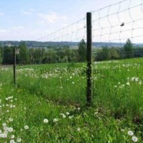 Самый дешевый забор украина. Дешевые бюджетные заборы