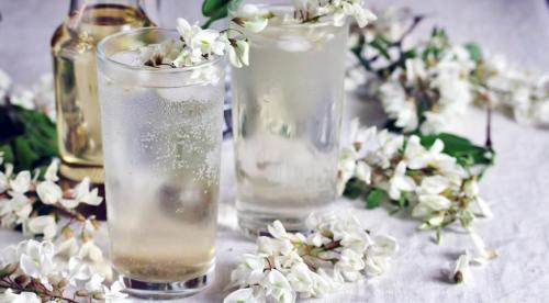 Виды съедобных для человека трав и растений. ТОП 12 съедобных садовых цветов для приготовления простых блюд 01 Виды съедобных для человека трав и растений. ТОП 12 съедобных садовых цветов для приготовления простых блюд 01