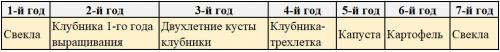 Что сажать после свеклы. Что можно сажать после свеклы на следующий год: подробные таблицы