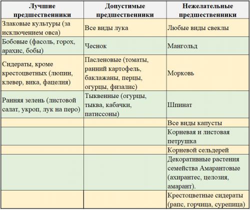 Что сажать после свеклы. Что можно сажать после свеклы на следующий год: подробные таблицы