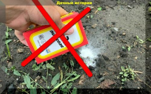 Как раскислить почву содой. Соде не место в огороде! Глупые советы и мифы о применении соды в огородных делах