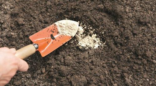 Как увеличить плодородность почвы на участке. Добавление статьи в новую подборку 08