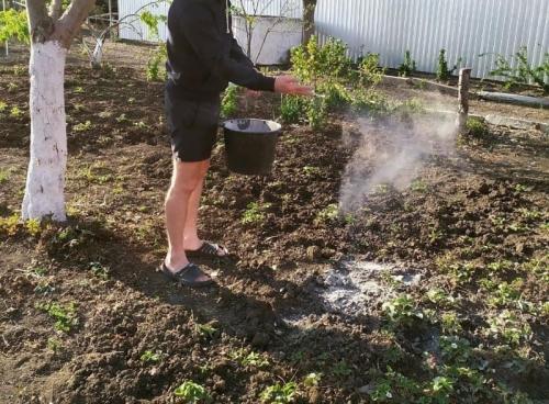 Органические методы борьбы с кислой почвой: проверены не одним поколением 01