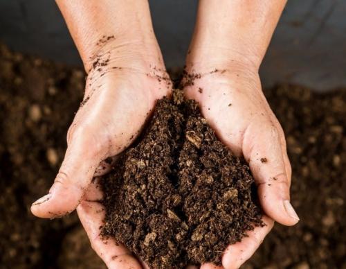 Органические методы борьбы с кислой почвой: проверены не одним поколением 02