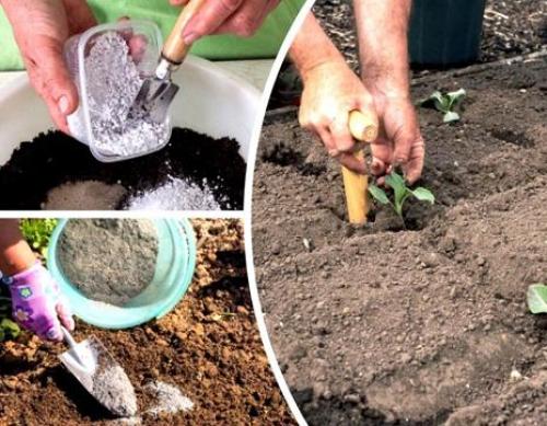 Органические методы борьбы с кислой почвой: проверены не одним поколением 08