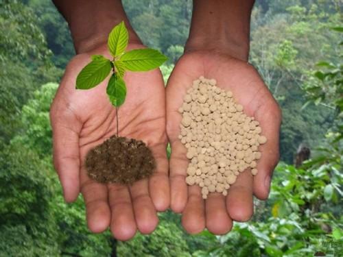 Какие удобрения закисляют почву. Особенности использования минеральных удобрений