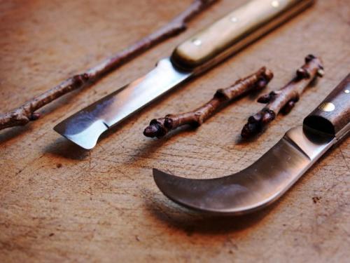 Весенняя прививка вишни. Пошаговая инструкция, как правильно привить вишню на вишню и сроки процедуры для начинающих