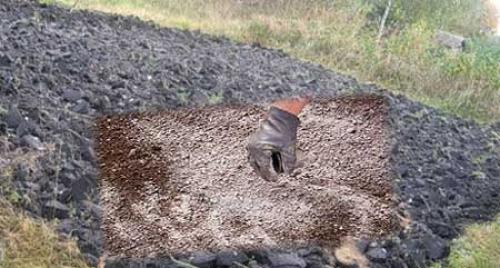 Известкование почвы под картофель