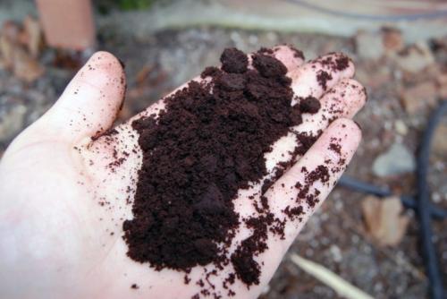 Как закислить почву на участке. 7 простых средств для закисления почвы