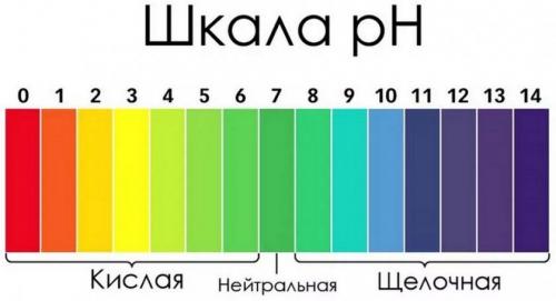 Как закислить почву на участке. 7 простых средств для закисления почвы 11