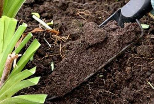 Как закислить почву на участке. 7 простых средств для закисления почвы 04