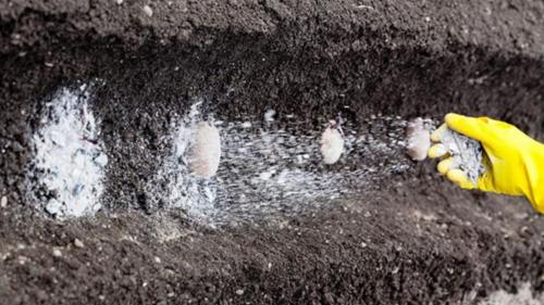 Известкование почвы негашеной известью. Необходимость в известковании грунта