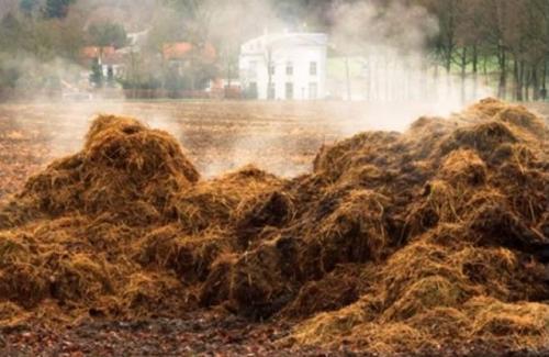 Внесение извести в почву осенью. Особенности применения пушонки 07 Внесение извести в почву осенью. Особенности применения пушонки 07