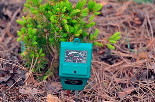 Норма внесения извести в почву. Особенности проведения