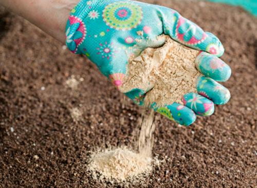 Норма внесения извести в почву. Особенности проведения