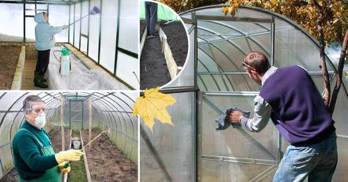 Известкование почвы негашеной известью. Необходимость в известковании грунта