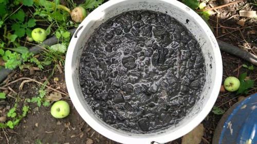 Биопрепараты от тли. Народные средства от тли