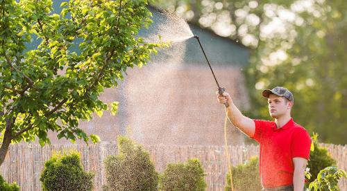 Биопрепараты для сада и огорода. Биопрепараты для растений, сада и огорода – рейтинг 2022 года 15 Биопрепараты для сада и огорода. Биопрепараты для растений, сада и огорода – рейтинг 2022 года 15