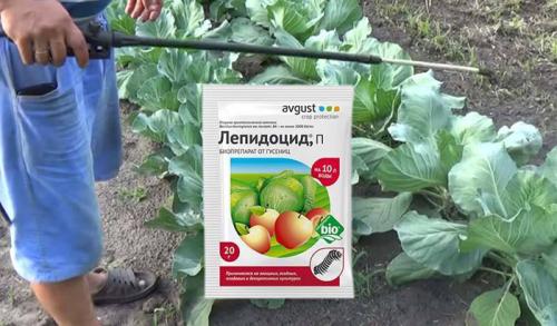 Биопрепараты для сада и огорода. Биопрепараты для растений, сада и огорода – рейтинг 2022 года