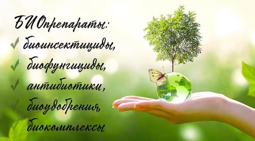 Биопрепараты для сада и огорода. Биопрепараты для растений, сада и огорода – рейтинг 2022 года 14 Биопрепараты для сада и огорода. Биопрепараты для растений, сада и огорода – рейтинг 2022 года 14