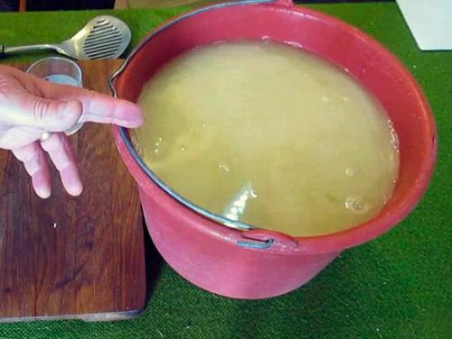 Биопрепараты от тли. Народные средства от тли