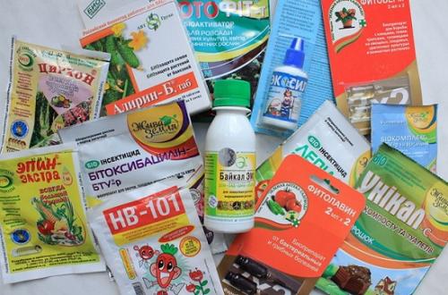 Биопрепараты от вредителей. Группы биопрепаратов от вредителей и болезней растений