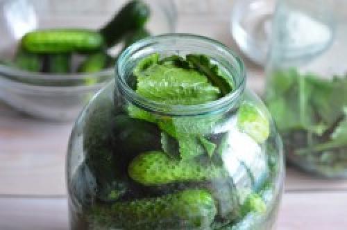 Нормы соления и что делать при пересоле. Пошаговое приготовление