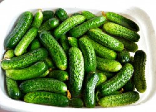 Нормы соления и что делать при пересоле. Пошаговое приготовление