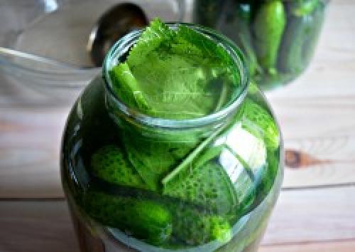 Нормы соления и что делать при пересоле. Пошаговое приготовление