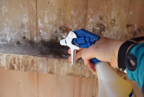 Как развести известь для побелки курятника. Как развести известь для курятника?