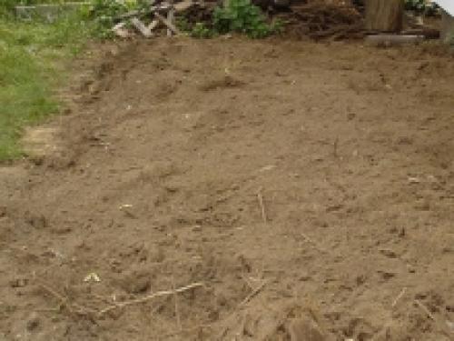 Как чередование растений влияет на плодородие почвы. Растениеводство - Чередование культур почву бережёт