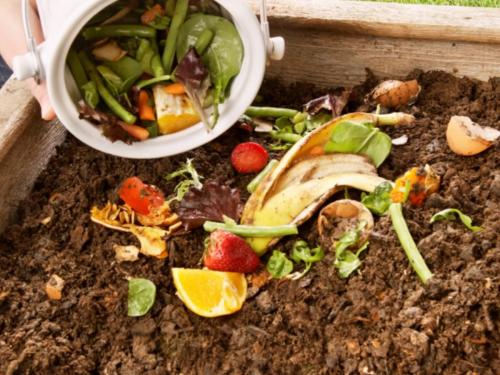 Как сделать компост из пищевых отходов. Падалица и пищевые отходы для огорода: компостирование и локальное улучшение почвы