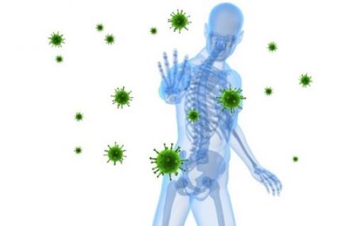 Таблица совместимости продуктов для правильного питания. Таблица совместимости продуктов питания