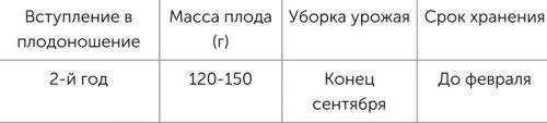 Яблоки красные внутри. Яблоки с красной мякотью –, что это за сорта и чем они лучше обычных