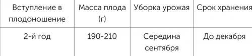 Яблоки красные внутри. Яблоки с красной мякотью –, что это за сорта и чем они лучше обычных