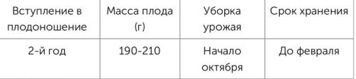Яблоки красные внутри. Яблоки с красной мякотью –, что это за сорта и чем они лучше обычных