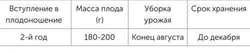 Яблоки красные внутри. Яблоки с красной мякотью –, что это за сорта и чем они лучше обычных