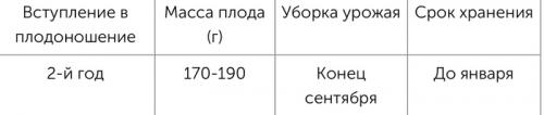 Яблоки красные внутри. Яблоки с красной мякотью –, что это за сорта и чем они лучше обычных