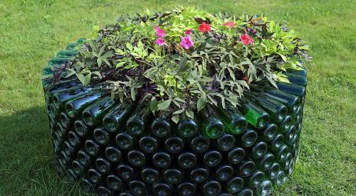 Какие цветы посадить в августе. Какие цветы можно посадить в это время 11