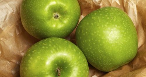 Сорта зимних яблонь. Всё про зимние сорта яблок