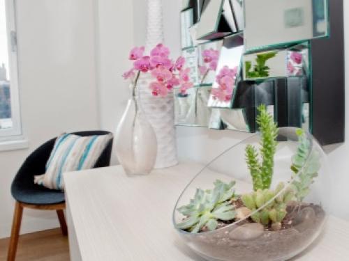 На окне выходящем на север желательно размещать растения. Комнатные растения для северных окон: полный список 08