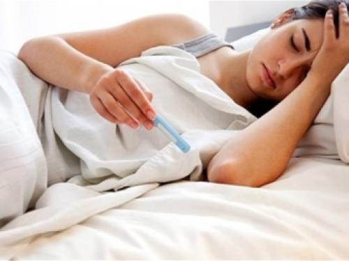 Как уберечь огород и урожай от грызунов. Профилактические меры — гарантия успеха в борьбе с грызунами 13