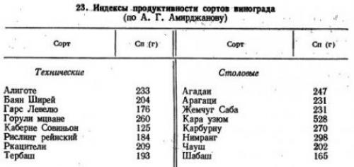 Коэффициент плодоношения винограда, что это. Показатели плодоносности и продуктивность насаждений (часть 2)