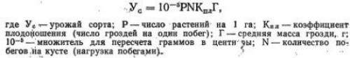 Коэффициент плодоношения винограда, что это. Показатели плодоносности и продуктивность насаждений (часть 2)