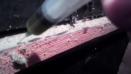 Чертополох от мышей. Процесс обработки дома