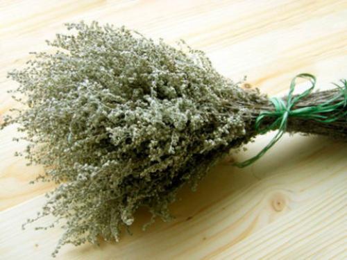 Как избавиться от мышей народными средствами. Народные средства от мышей