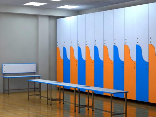 Мебель для раздевалки. Обзор мебели в раздевалки, особенности моделей