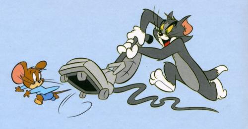 Боятся ли мыши запаха кота. Ученые выяснили, почему Джерри не боялся Тома